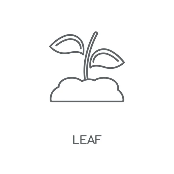 Liść Ikona Liniowej Liść Koncepcja Symbol Obrysu Cienkich Elementów Graficznych — Wektor stockowy