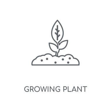 Büyüyen bitki doğrusal simgesi. Büyüyen bitki kavramı kontur sembolü tasarım. İnce grafik öğeleri illüstrasyon, beyaz bir arka plan, eps 10 anahat desen vektör.