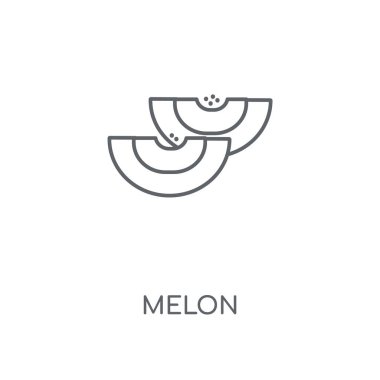 Kavun doğrusal simgesi. Kavun kavramı kontur sembolü tasarım. İnce grafik öğeleri illüstrasyon, beyaz bir arka plan, eps 10 anahat desen vektör.