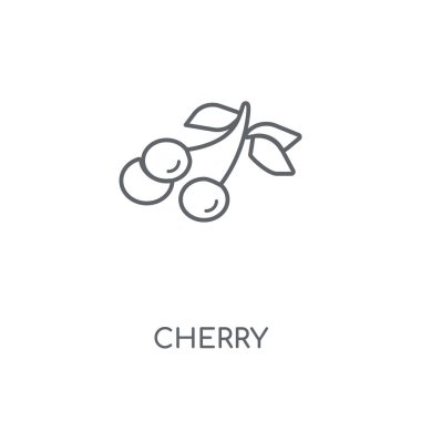 Kiraz doğrusal simgesi. Kiraz kavramı kontur sembolü tasarım. İnce grafik öğeleri illüstrasyon, beyaz bir arka plan, eps 10 anahat desen vektör.