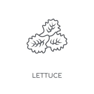 Marul doğrusal simgesi. Marul kavramı kontur sembolü tasarım. İnce grafik öğeleri illüstrasyon, beyaz bir arka plan, eps 10 anahat desen vektör.