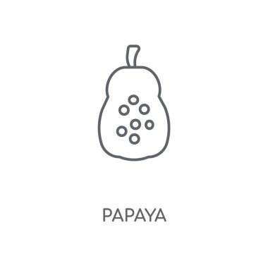 Papaya doğrusal simgesi. Papaya kavramı kontur sembolü tasarım. İnce grafik öğeleri illüstrasyon, beyaz bir arka plan, eps 10 anahat desen vektör.