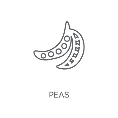 Bezelye doğrusal simgesi. Bezelye kavramı kontur sembolü tasarım. İnce grafik öğeleri illüstrasyon, beyaz bir arka plan, eps 10 anahat desen vektör.
