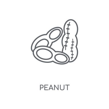 Fıstık doğrusal simgesi. Fıstık kavramı kontur sembolü tasarım. İnce grafik öğeleri illüstrasyon, beyaz bir arka plan, eps 10 anahat desen vektör.