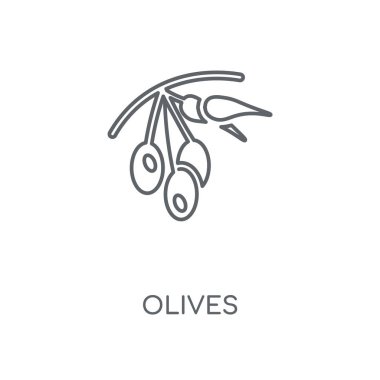 Zeytin doğrusal simgesi. Zeytin kavramı kontur sembolü tasarım. İnce grafik öğeleri illüstrasyon, beyaz bir arka plan, eps 10 anahat desen vektör.