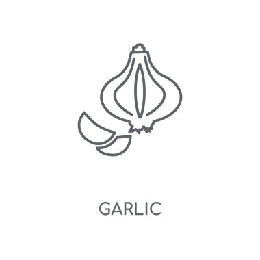 Sarımsak doğrusal simgesi. Sarımsak kavramı kontur sembolü tasarım. İnce grafik öğeleri illüstrasyon, beyaz bir arka plan, eps 10 anahat desen vektör.