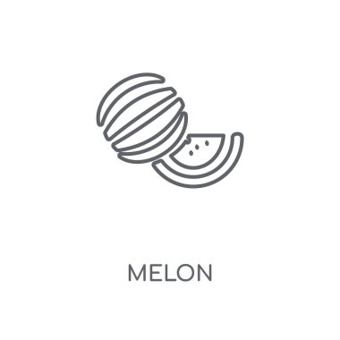 Kavun doğrusal simgesi. Kavun kavramı kontur sembolü tasarım. İnce grafik öğeleri illüstrasyon, beyaz bir arka plan, eps 10 anahat desen vektör.
