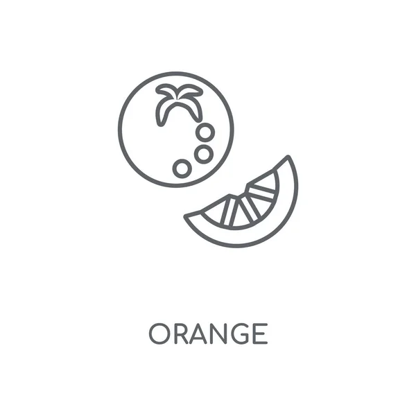 Icono Lineal Naranja Diseño Símbolo Trazo Concepto Naranja Elementos Gráficos — Vector de stock