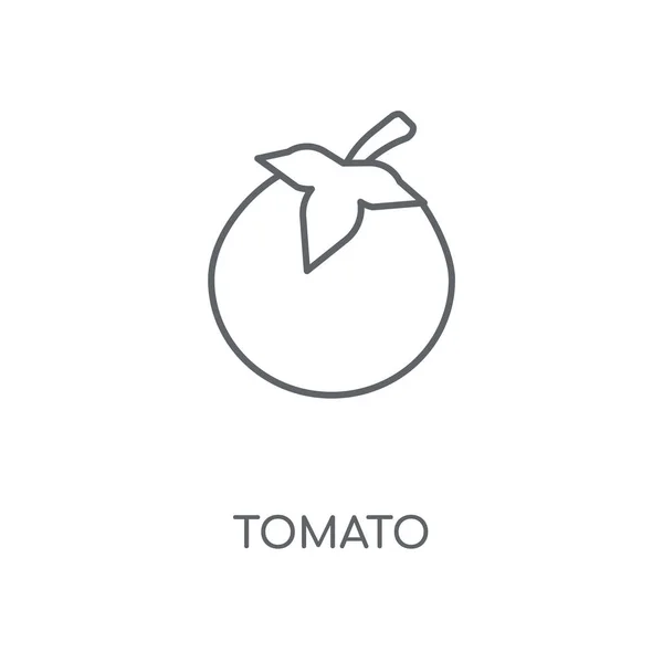 Tomate Lineares Symbol Tomate Konzept Strich Symboldesign Dünne Grafische Elemente — Stockvektor