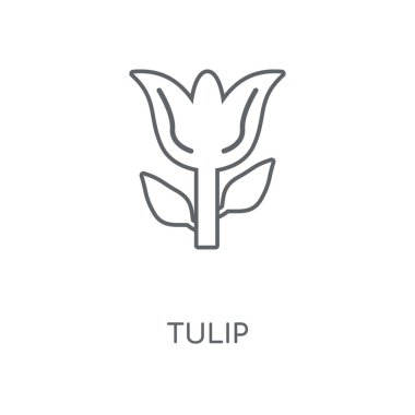 Lale doğrusal simgesi. Lale kavramı kontur sembol tasarımı. İnce grafik öğeleri illüstrasyon, beyaz bir arka plan, eps 10 anahat desen vektör.