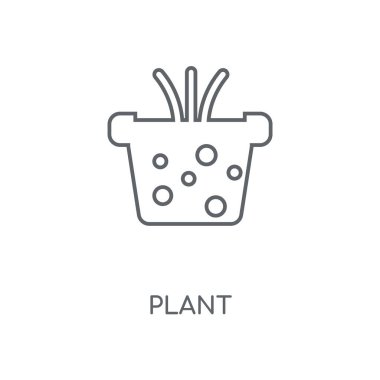 Bitki doğrusal simgesi. Kavramı kontur sembolü tasarım bitki. İnce grafik öğeleri illüstrasyon, beyaz bir arka plan, eps 10 anahat desen vektör.