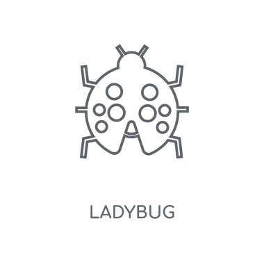 Uğur böceği doğrusal simgesi. Uğur böceği kavramı kontur sembolü tasarım. İnce grafik öğeleri illüstrasyon, beyaz bir arka plan, eps 10 anahat desen vektör.