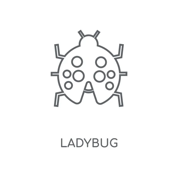 Лінійна Піктограма Сонечка Дизайн Символів Штрихування Концепції Ladybug Тонкі Графічні — стоковий вектор