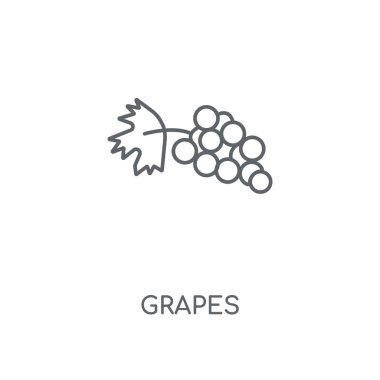 Üzüm doğrusal simgesi. Üzüm kavramı kontur sembolü tasarım. İnce grafik öğeleri illüstrasyon, beyaz bir arka plan, eps 10 anahat desen vektör.