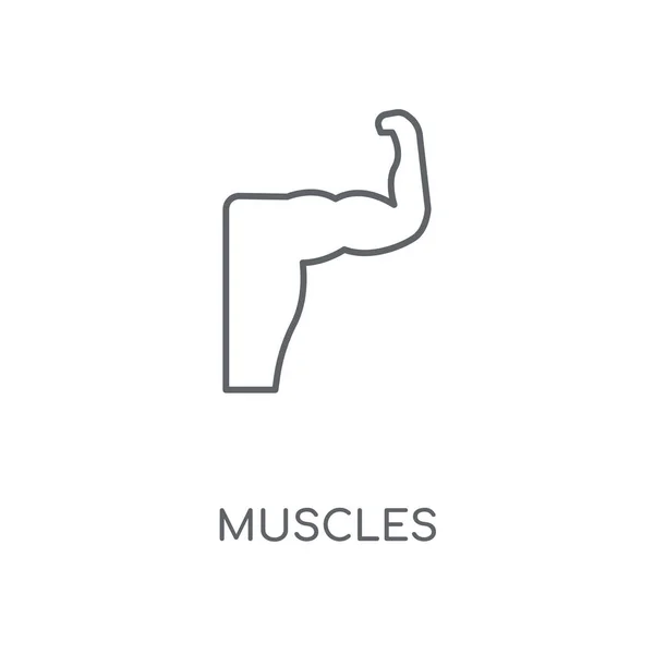 筋肉線形アイコン 筋肉ストローク シンボル デザインのコンセプト薄いグラフィック要素ベクトル イラスト 白い背景 Eps の概要パターン — ストックベクタ
