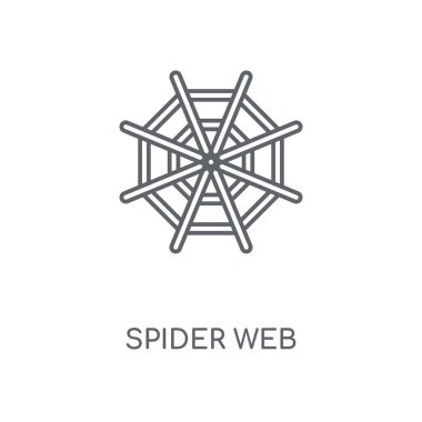 Örümcek web doğrusal simgesi. Örümcek web kavramı kontur sembol tasarımı. İnce grafik öğeleri illüstrasyon, beyaz bir arka plan, eps 10 anahat desen vektör.