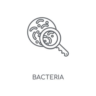 Bakteri doğrusal simgesi. Bakteri kavramı kontur sembolü tasarım. İnce grafik öğeleri illüstrasyon, beyaz bir arka plan, eps 10 anahat desen vektör.