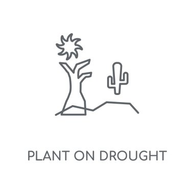 Bitki üzerinde kuraklık doğrusal simgesi. Bitki üzerinde kuraklık kavramı kontur sembolü tasarım. İnce grafik öğeleri illüstrasyon, beyaz bir arka plan, eps 10 anahat desen vektör.