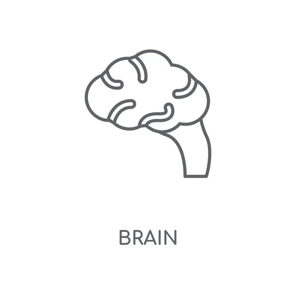 大脑线性图标 大脑概念笔划符号设计 薄的图形元素向量例证 在白色背景上的轮廓样式 Eps — 图库矢量图片