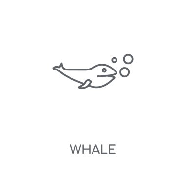 Balina doğrusal simgesi. Kavramı kontur sembolü tasarım balina. İnce grafik öğeleri illüstrasyon, beyaz bir arka plan, eps 10 anahat desen vektör.