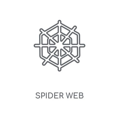 Örümcek web doğrusal simgesi. Örümcek web kavramı kontur sembol tasarımı. İnce grafik öğeleri illüstrasyon, beyaz bir arka plan, eps 10 anahat desen vektör.