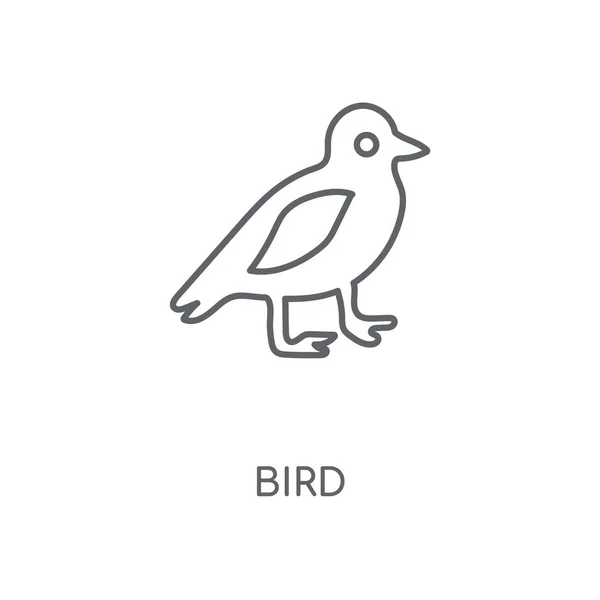 鸟线性图标 鸟的概念笔画符号设计 薄的图形元素向量例证 在白色背景上的轮廓样式 Eps — 图库矢量图片
