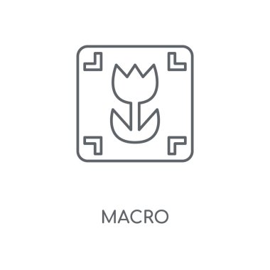 Makro doğrusal simgesi. Makro kavramı kontur sembol tasarımı. İnce grafik öğeleri illüstrasyon, beyaz bir arka plan, eps 10 anahat desen vektör.
