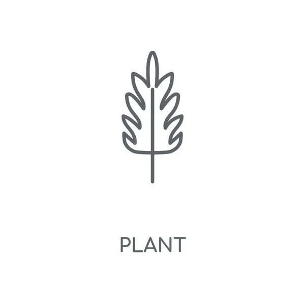 Ikona Liniowej Roślin Roślina Symbol Koncepcja Obrysu Cienkich Elementów Graficznych — Wektor stockowy