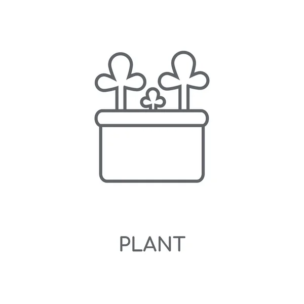 Ícone Linear Planta Projeto Símbolo Curso Conceito Planta Elementos Gráficos — Vetor de Stock