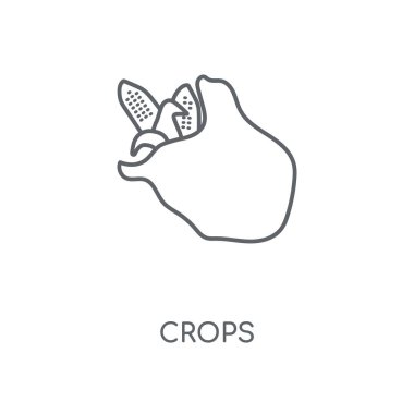 Bitkileri doğrusal simgesi. Bitkileri kavramı kontur sembolü tasarım. İnce grafik öğeleri illüstrasyon, beyaz bir arka plan, eps 10 anahat desen vektör.