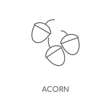Meşe palamudu doğrusal simgesi. Meşe palamudu kavramı kontur sembolü tasarım. İnce grafik öğeleri illüstrasyon, beyaz bir arka plan, eps 10 anahat desen vektör.