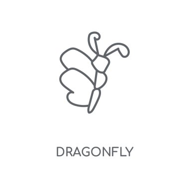 Yusufçuk doğrusal simgesi. Yusufçuk kavramı kontur sembolü tasarım. İnce grafik öğeleri illüstrasyon, beyaz bir arka plan, eps 10 anahat desen vektör.