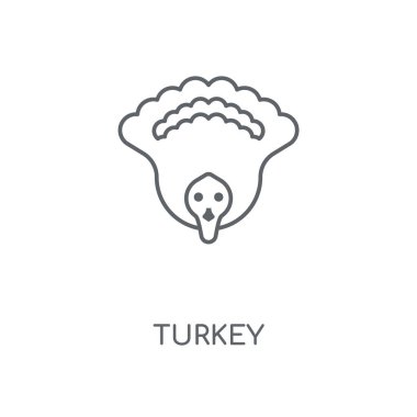 Türkiye'de doğrusal simgesi. Türkiye kavramı kontur sembolü tasarım. İnce grafik öğeleri illüstrasyon, beyaz bir arka plan, eps 10 anahat desen vektör.