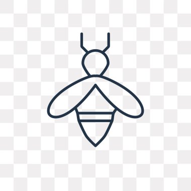 Arı vektör anahat simgesini şeffaf arka plan üzerinde yüksek kalitede doğrusal arı saydamlık kavramı izole olabilir kullanılan web ve mobil