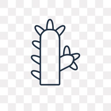 Kaktüs vektör anahat simgesini şeffaf arka plan üzerinde yüksek kalitede doğrusal kaktüs saydamlık kavramı izole olabilir kullanılan web ve mobil