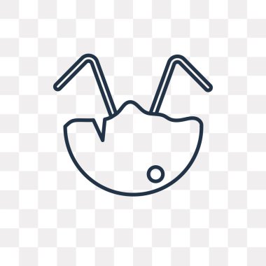 Hindistan cevizi vektör anahat simgesini şeffaf arka plan üzerinde yüksek kalitede doğrusal Hindistan cevizi saydamlık kavramı izole olabilir kullanılan web ve mobil