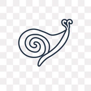 Seashell vektör anahat simgesini şeffaf arka plan üzerinde yüksek kalitede doğrusal Seashell saydamlık kavramı izole olabilir kullanılan web ve mobil