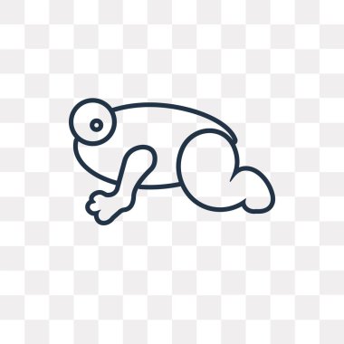 Saydam arka plan üzerinde yüksek kalitede doğrusal kurbağa saydamlık kavramı izole kurbağa vektör anahat simgesini kullandığınız web ve mobil olabilir