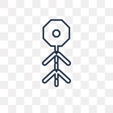 Havai fişek anahat simgesini şeffaf arka plan üzerinde izole vektör, yüksek kalitede doğrusal havai fişek saydamlık kavramı kullanılan web ve mobil olabilir