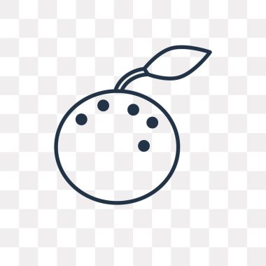 Turuncu vektör anahat simgesini şeffaf arka plan üzerinde yüksek kalite doğrusal turuncu şeffaflık anlayışı izole olabilir kullanılan web ve mobil