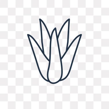 Aloe Vera vektör anahat simgesini şeffaf arka plan üzerinde yüksek kalitede doğrusal Aloe Vera saydamlık kavramı izole olabilir kullanılan web ve mobil