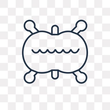 Hücre bölünmesi vektör anahat simgesini şeffaf arka plan üzerinde yüksek kalitede doğrusal hücre bölünmesi saydamlık kavramı izole olabilir kullanılan web ve mobil