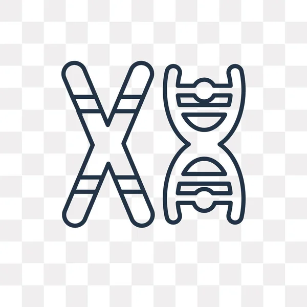 Иконка Вектора Хромосом Контура Изолированы Прозрачном Фоне Высокое Качество Линейной — стоковый вектор