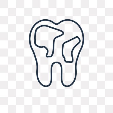 diş vektör anahat simgesini şeffaf arka plan üzerinde yüksek kalitede doğrusal diş saydamlık kavramı izole olabilir kullanılan web ve mobil