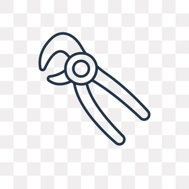 Diş vektör anahat simgesini şeffaf arka plan üzerinde yüksek kalitede doğrusal diş saydamlık kavramı izole olabilir kullanılan web ve mobil