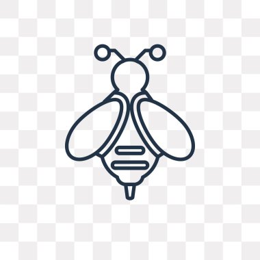 Arılar anahat simgesini şeffaf arka plan üzerinde izole vektör, yüksek kalitede doğrusal arılar saydamlık kavramı kullanılan web ve mobil olabilir