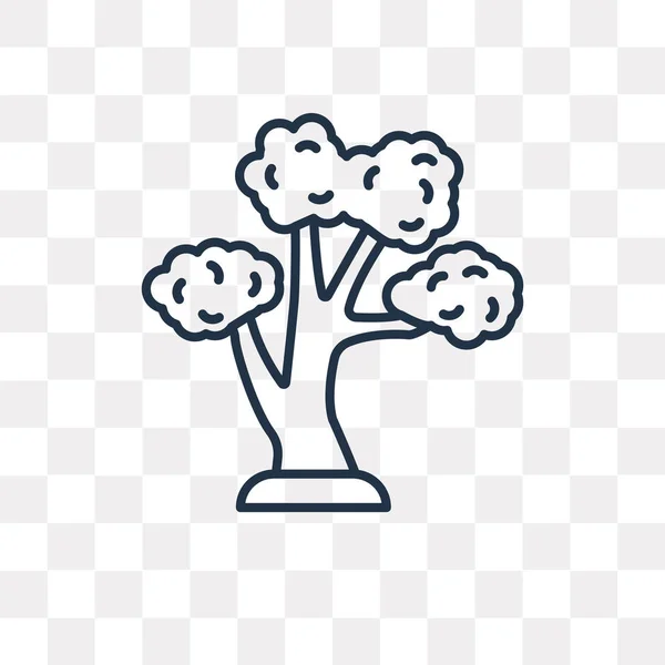 Δέντρο Διάνυσμα Εικονίδιο Διάρθρωσης Απομονώνονται Διαφανές Φόντο Γραμμική Έννοια Διαφάνειας — Διανυσματικό Αρχείο
