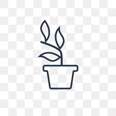 Bitki vektör anahat simgesini şeffaf arka plan üzerinde yüksek kalitede doğrusal bitki saydamlık kavramı izole olabilir kullanılan web ve mobil