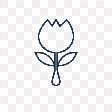 Lale vektör anahat simgesini şeffaf arka plan üzerinde yüksek kalitede doğrusal Tulip saydamlık kavramı izole olabilir kullanılan web ve mobil