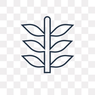 Buğday vektör anahat simgesini şeffaf arka plan üzerinde yüksek kalitede doğrusal buğday saydamlık kavramı izole olabilir kullanılan web ve mobil